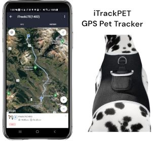 Affordable Waterproof GPS GSM Pet Tracker with Precise Place Tracking Size:L