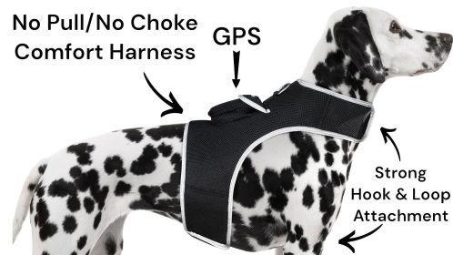 Action Activated Collar Mounted Cell Phone GPS Pet Tracker Waterproof Size:L