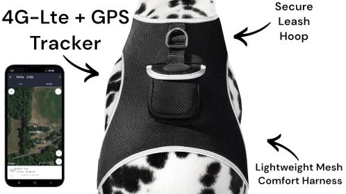 Affordable Realtime Rechargeable Dog Collar GPS Tracking Device Water Resistant Size:L