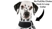 Dependable Waterproof Collar Pet Locator GSM GPS Dog Tracking Systems Size:L