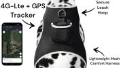 Action Activated Mini Dog GPS Tracking Device Rechargeable Pet Tracker Size:L