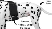 High Quality Best Dog Tracking Device Pet Tracker GPS Pet Location Finder Size:L