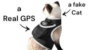 Cheap GPS Tracking Device Realtime Pet Location Finder with Rechargeable Battery Size:L