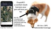 Collar Mounted Realtime Pet Locator GPS Portable Rechargeable Tracker Size:L