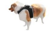 Accurate Realtime Dog Tracking with Pet Tracker Waterproof GPS Pet Locator Size:L