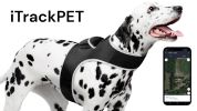 Cat GPS Tracking Collar Waterproof Motion Motion Pet Location Finder Size:L