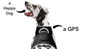 Action Activated Mini Dog GPS Tracking Device Rechargeable Pet Tracker Size:L