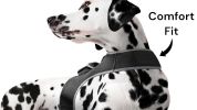 Efficient Realtime Pet Tracking w/ Mini Waterproof Pet Collar Tracker Size:L